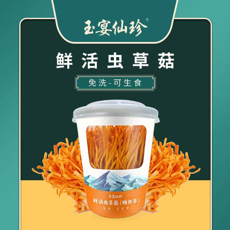 鲜活虫草菇【8桶】